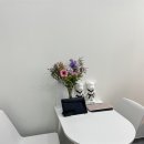 푸르미르 태권도장 이미지