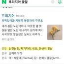 야곱의정원 이미지