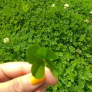 신복공원 이미지