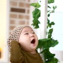 무찬 이미지
