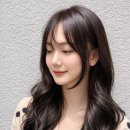 수투디오