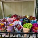 사동그린꽃 이미지