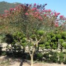 해찬농원 이미지