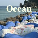 한섬해변 | [한섬 해수욕장] 포토존과 주차 정보, 동해한섬해변 후기