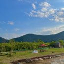 감꽃향흩날리는 이미지