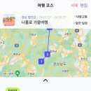 주말여행은 다님 어플로 시작 하세요