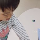 토종산천 | KTX산천 레고 블럭 조립후기 개통 20주년 기념