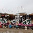 철원DMZ 마켓 농민과 소비자기 함께하는 직거래 주말장터개장