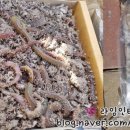 영흥바다낚시터 이미지