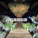 카페마이아 | W1-5. 디엘웨딩홀 마이아홀 후기