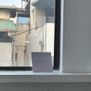 감성전주 | 전주 패더필름 스튜디오 후기 | 감성 사진관 내돈내산 (계단부터 반전인 곳)