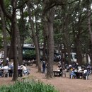 낙안읍성분재원 | 보령 죽도 상화원