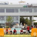 강아지테마미용실 이미지