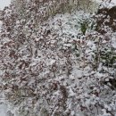 건설청앞BRT 이미지