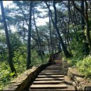 산촌버섯마을 | 괴산 산막이옛길 걷기 좋은 코스 괴 다녀온 후기