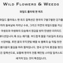 앤위즈 네이버블로그