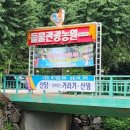 들물 관광농원 이미지