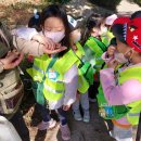 아미산자생식물원 이미지