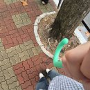 로드 투 킹덤 : ACE OF ACE 1차 경연 현장 평가단 방청 후기
