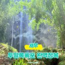 한산 F&P | 세부 오슬롭 투말록폭포 완벽정복이동방법·이용요금·운영시간 총정리 (고래상어 연계 하루 코스)