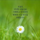 행복한 하루 이미지