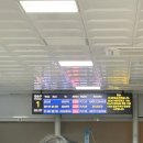 NR-26[공항로]-상-9 | 제주여행 | 마루나키친, 3인칭관찰자시점, 동백꽃 포토존 카페글렌코, 제주마음샌드 우유 한라봉 🍊