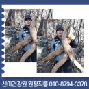 염소학교건강원