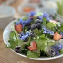 숲속에놀이터민박 이미지