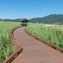 순천만국가정원 동문안내소 이미지