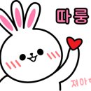 더 데일리 펫샵 이미지