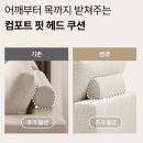 까사미아 캄포 구스50 클래식 찐 사용 후기 ◡̈ ✌︎