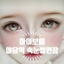 보떼대해 | 아이보떼 파주운정점에서 완성한 자연스럽고 아름다운 속눈썹