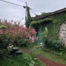 숲속오두막 이미지