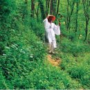 어둔(여) 이미지