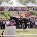 ﻿55회 밀양아리랑대축제 5월 2일부터 개최 이미지