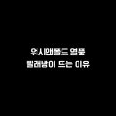 워시앤폴드 이미지