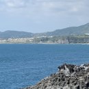 서베이제주