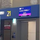 삼정자중학교 | 교환학생 되돌아보기_
