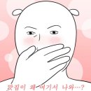 신스1983 이미지
