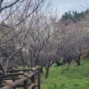 계성고등학교 이미지