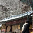 2025 다낭 여행 1일차 - 신원사, 하이안 비치 호텔, 핑크네일, 다낭시내 식당 추천, 호이안 사람없는...