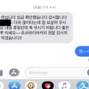 써니펫택시 | 서울 펫택시/경기 펫택시/펫택시 추천:써니호펫택시 후기