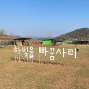 하빛율빠꿈사리 이미지