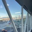 라라PC방 | 도쿄 Day1 / 큐슈 장가라 라멘 아키하바라점 / 도쿄 바나나 크림 브륄레 후기 / 패밀리마트 음료 추천