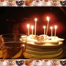 생일 축하 이미지모음 이미지