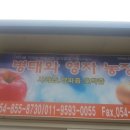 영자농장 이미지