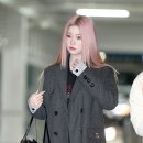 핑크토끼 이미지