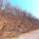 좋은친구공인중개사사무소 이미지