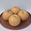 세종농장 | 신선하고 달콤한 고당도 신고배 세종뿌나농장