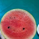 이런일하며 출석부릅니다 이미지